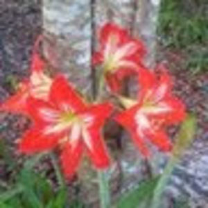 Meet your Posher, Sonia